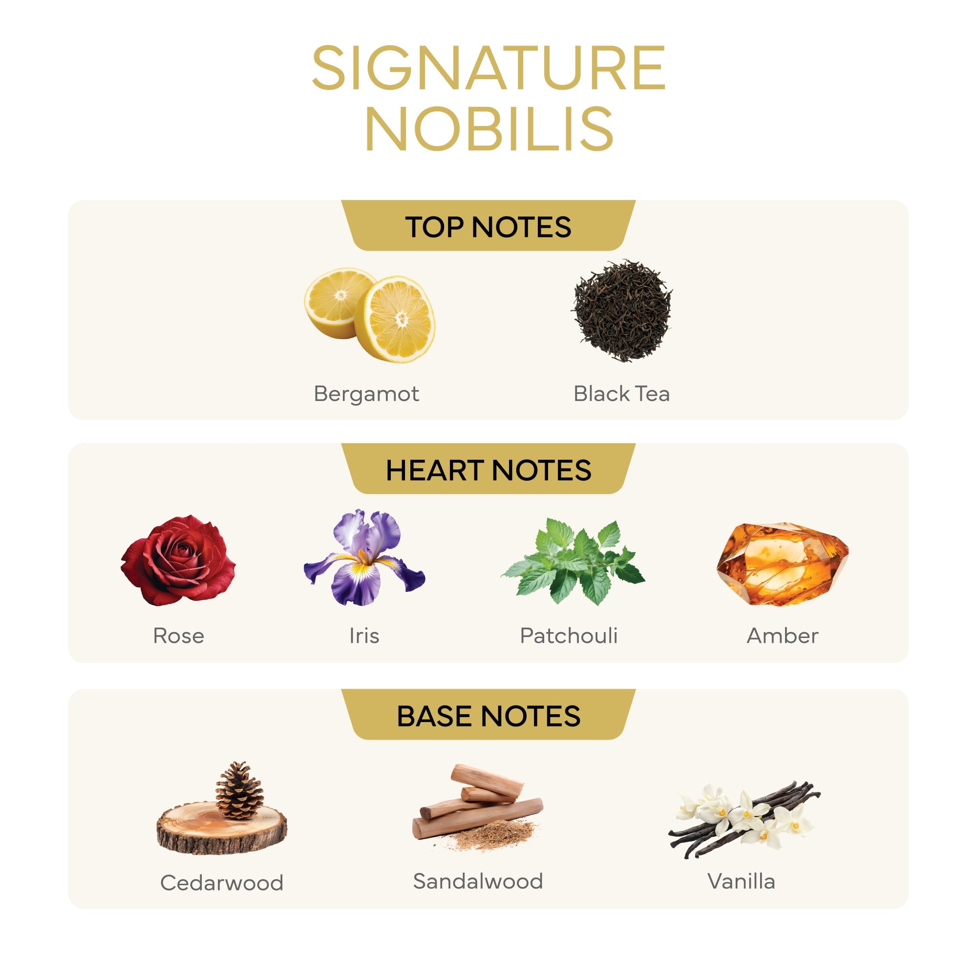 Signature Nobilis