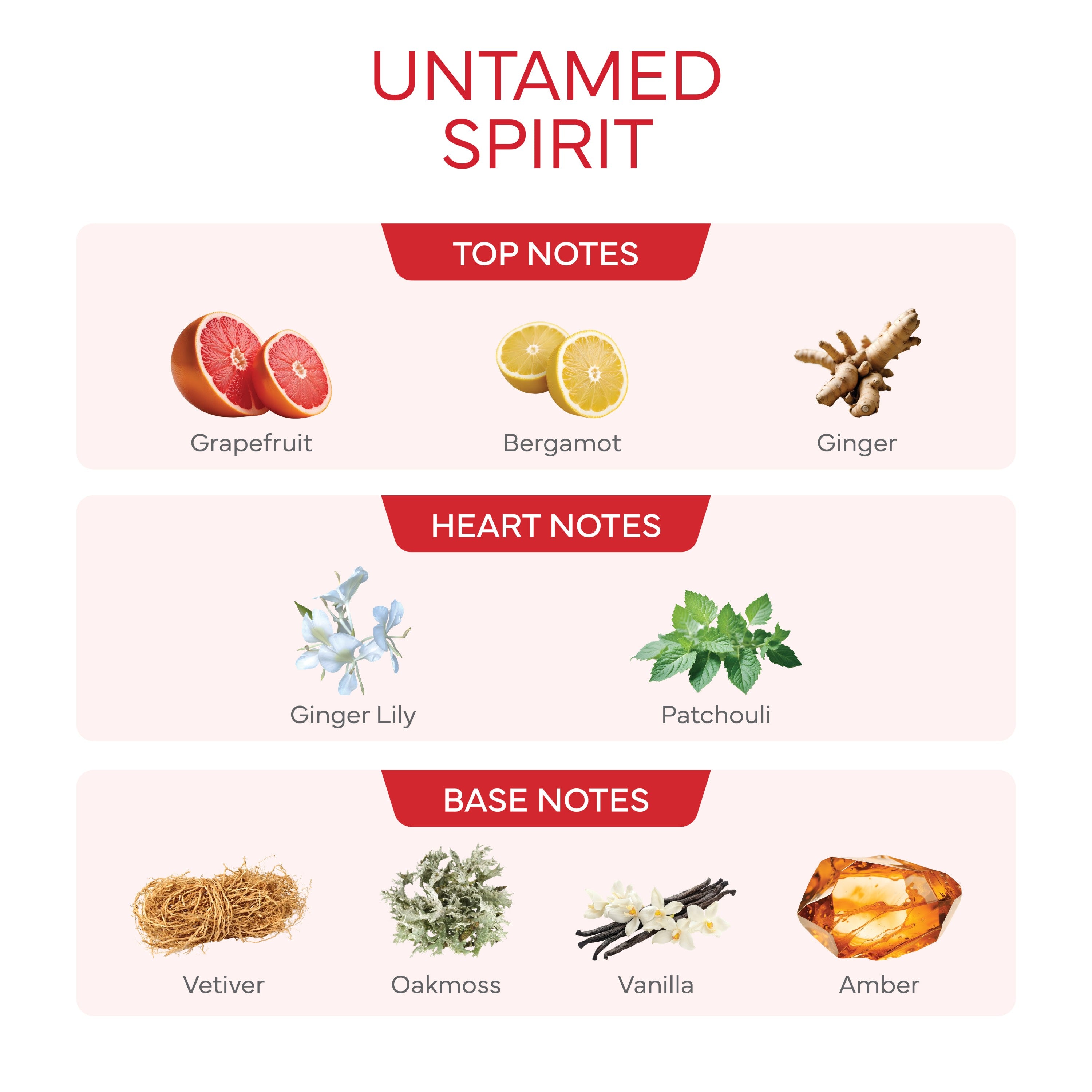 Untamed Spirit